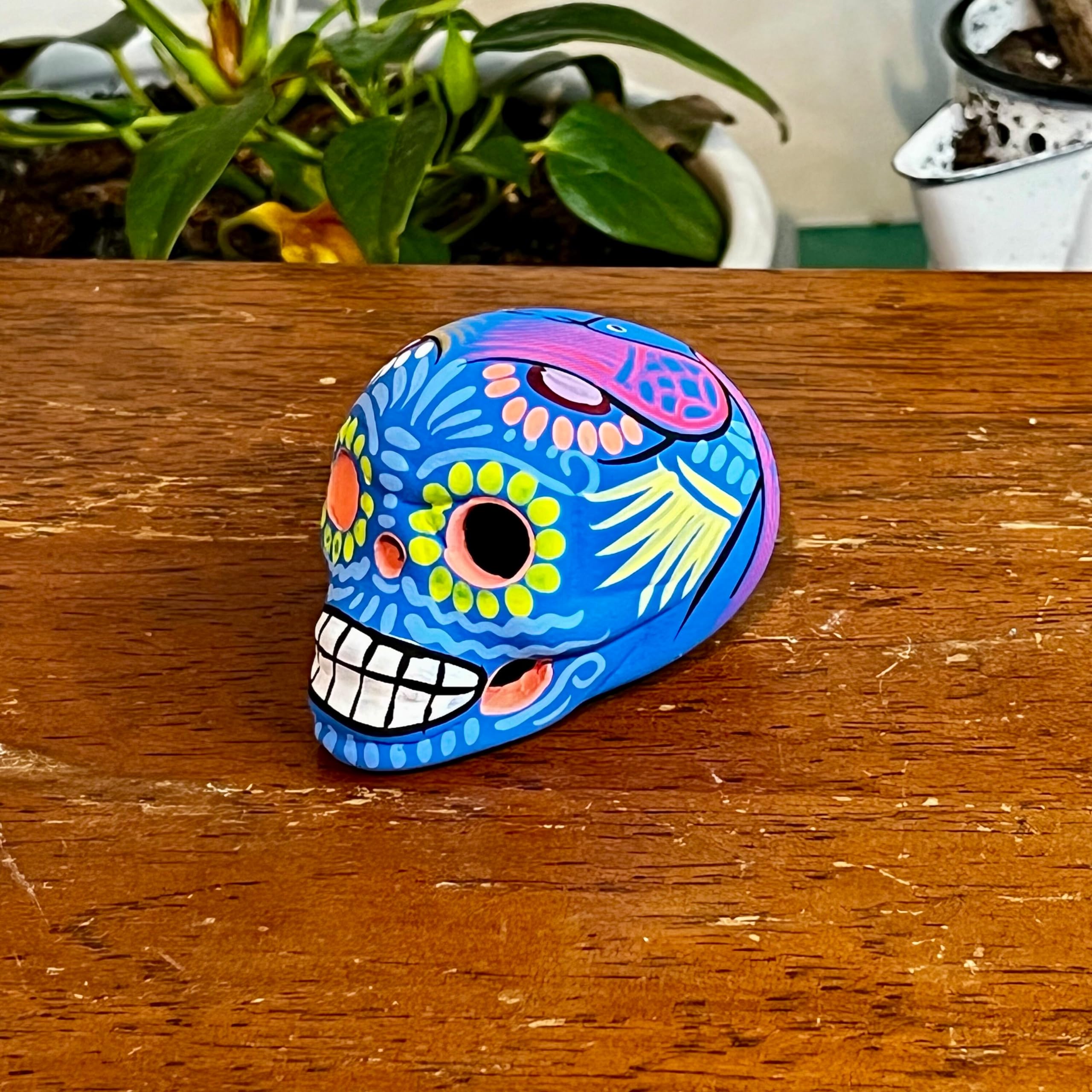 Amazon.co.jp: Artesanoによる死者のスカルの日 | 3色詰め合わせ|女性